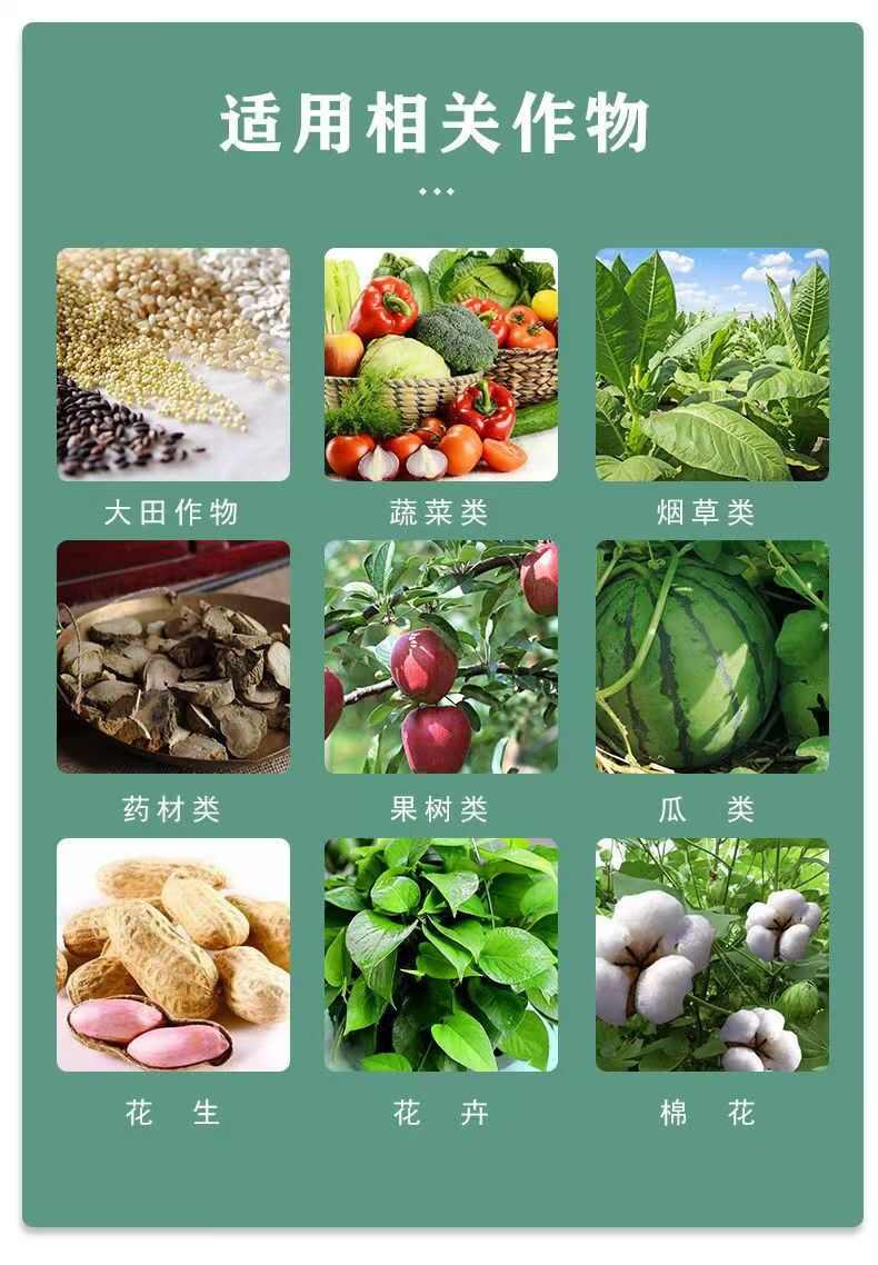 果树绿叶先锋黄叶变绿小叶变大增绿增厚提高叶绿素含量含氨基酸