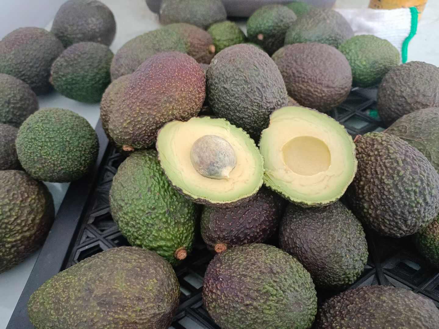 国产牛油果，云南本地现摘