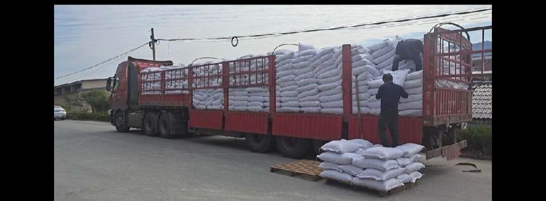 2025夏威果 电商一件代发 商超精品果批发