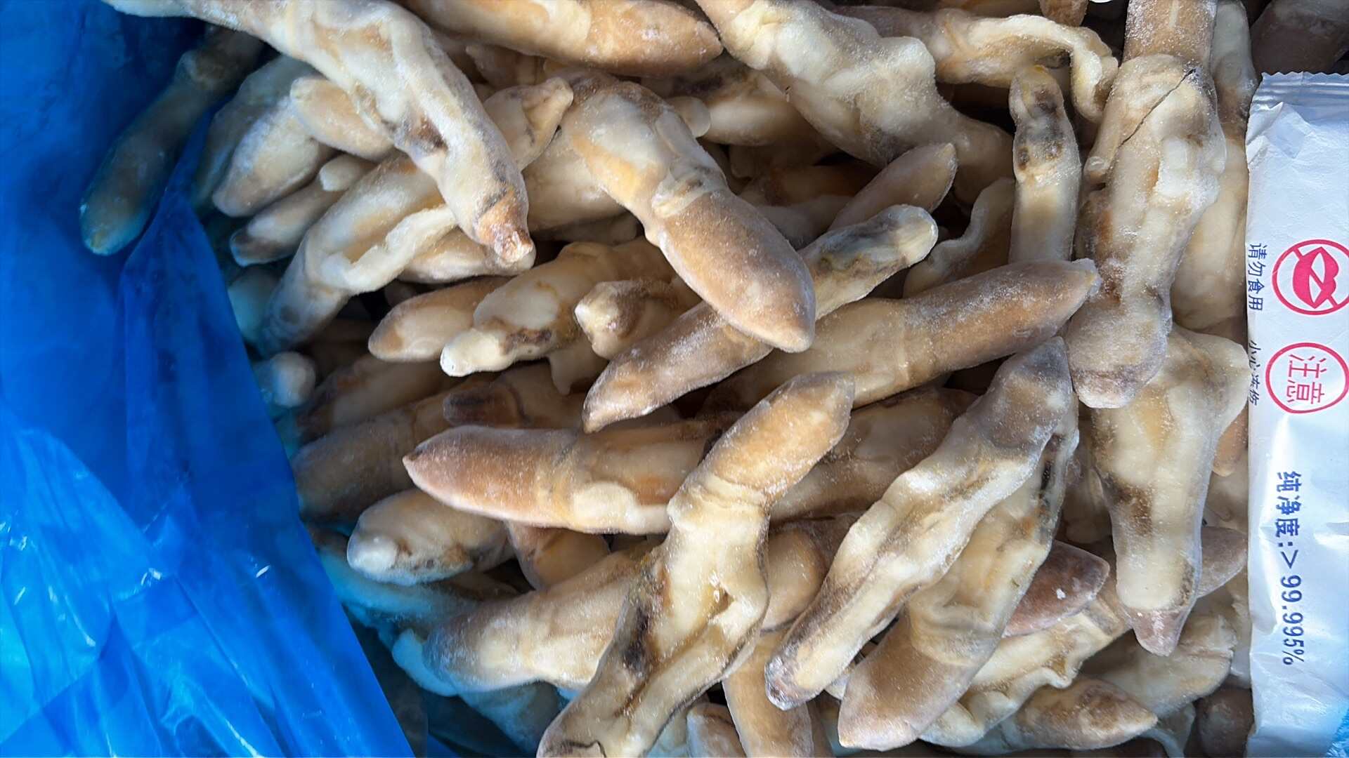 带黄竹蛏王肉竹节蛏海蛏子圣子开沙嘴去沙蛏王肉