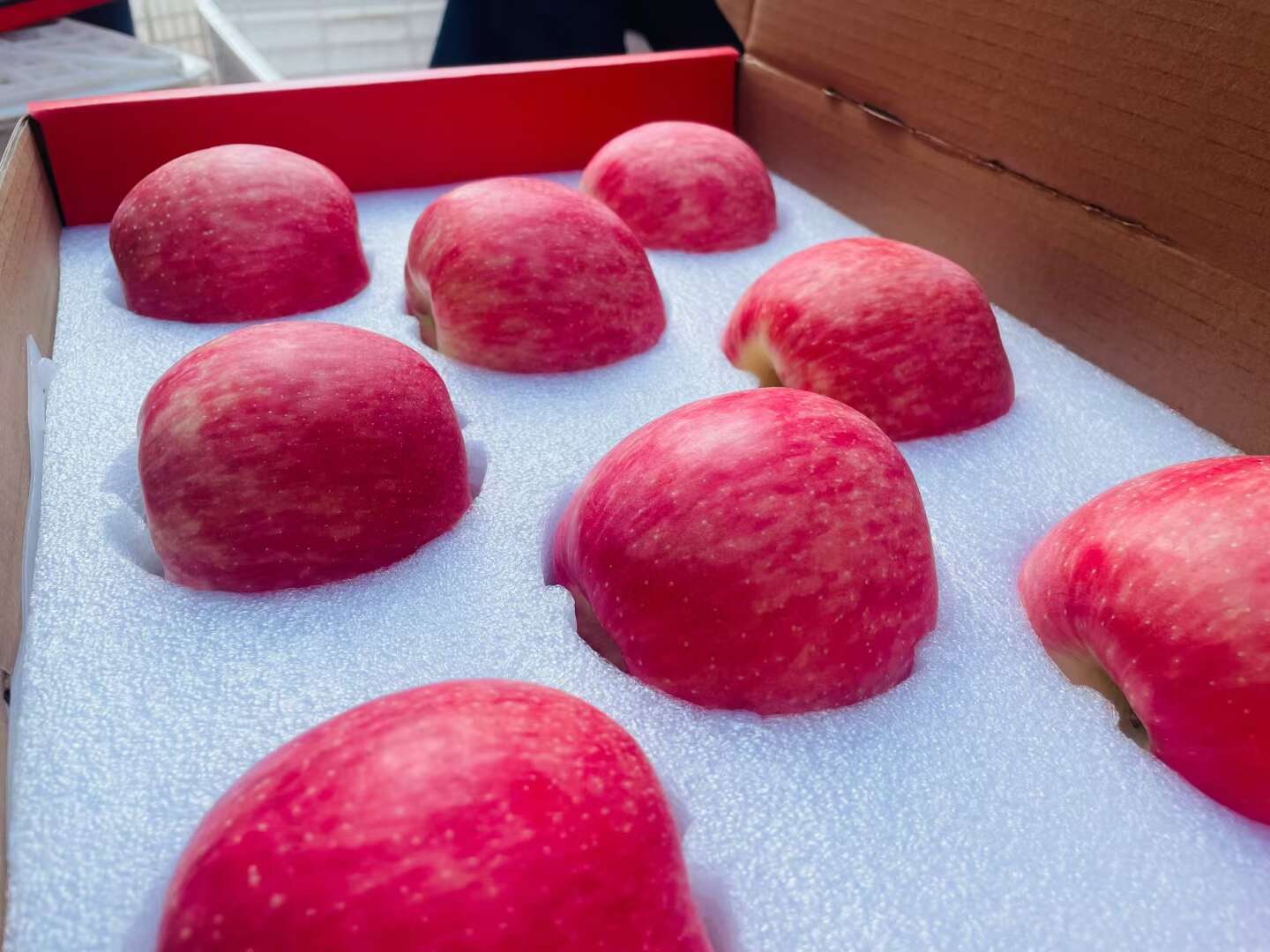 红富士苹果