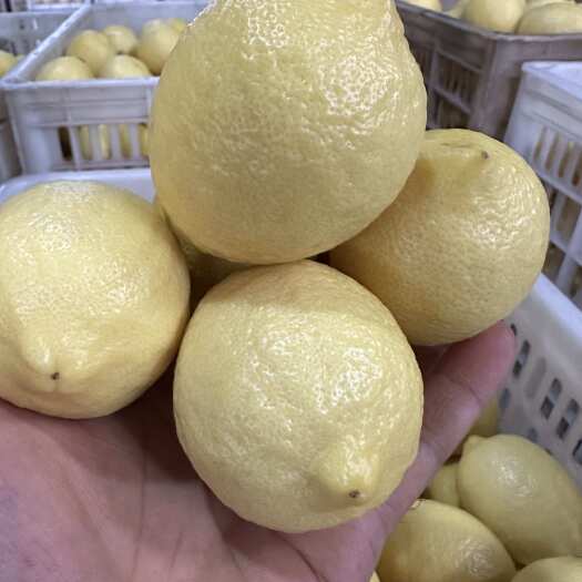安岳县安岳尤力克柠檬，产地直发，量大从优，各种规格型号都有，