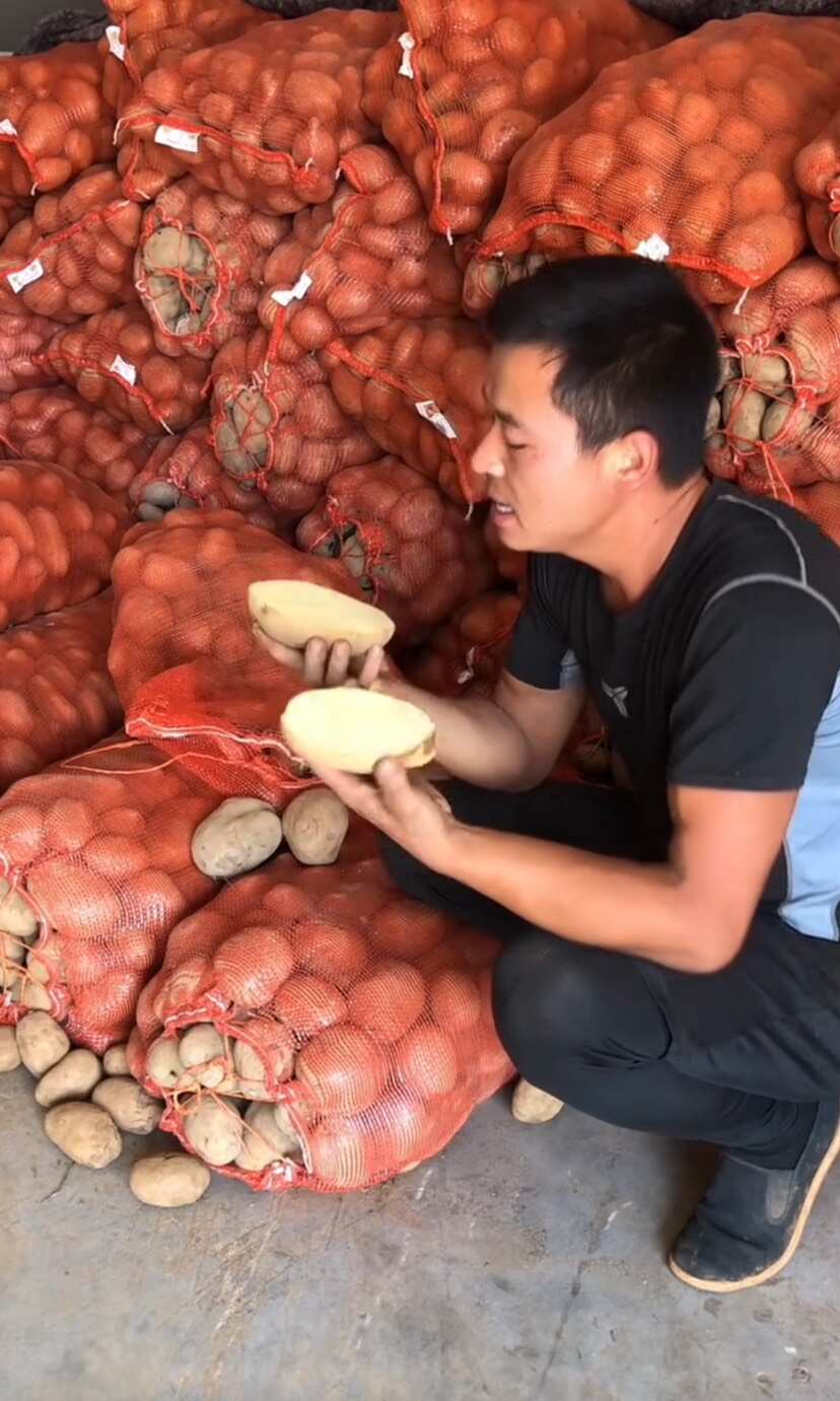 高原高海拔土豆