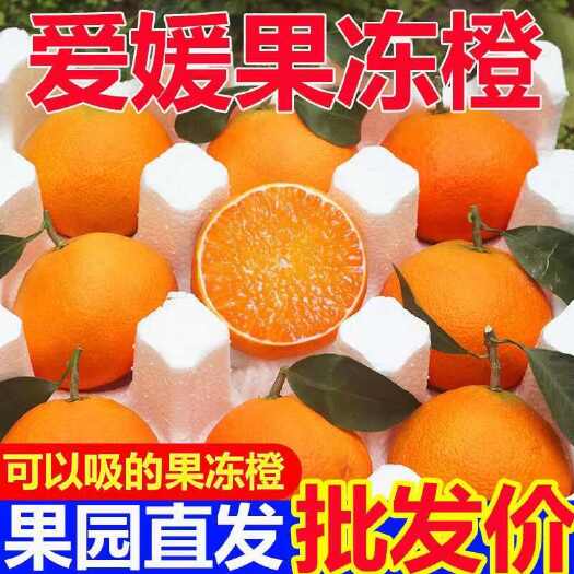 仁寿县四川爱媛果冻橙，对接商超市场，对接电商一件代发