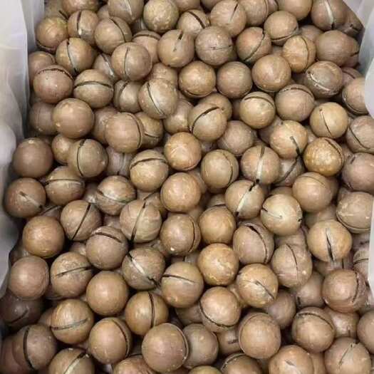 新郑市夏威夷果大货，电商货一件代发