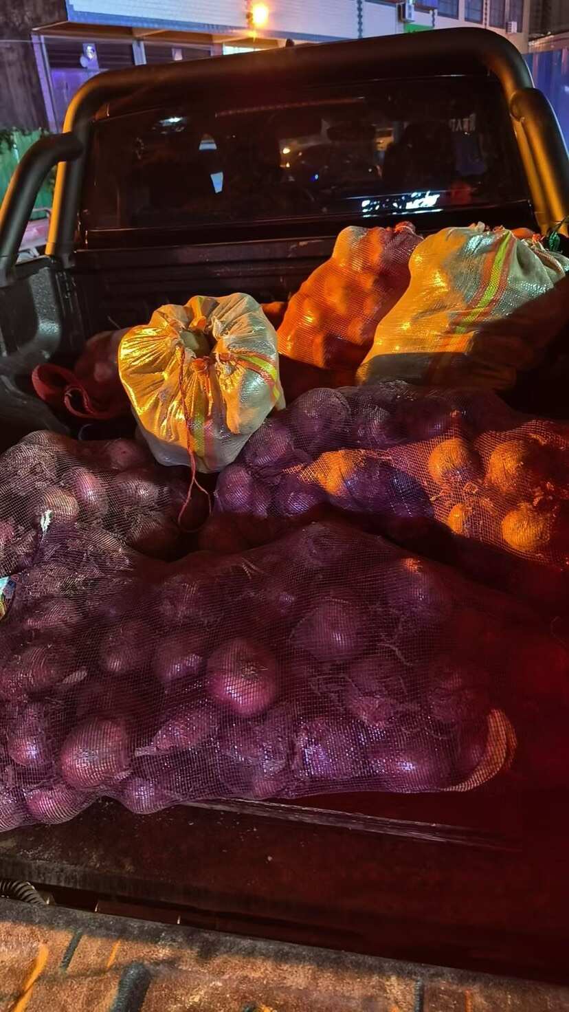 洋葱