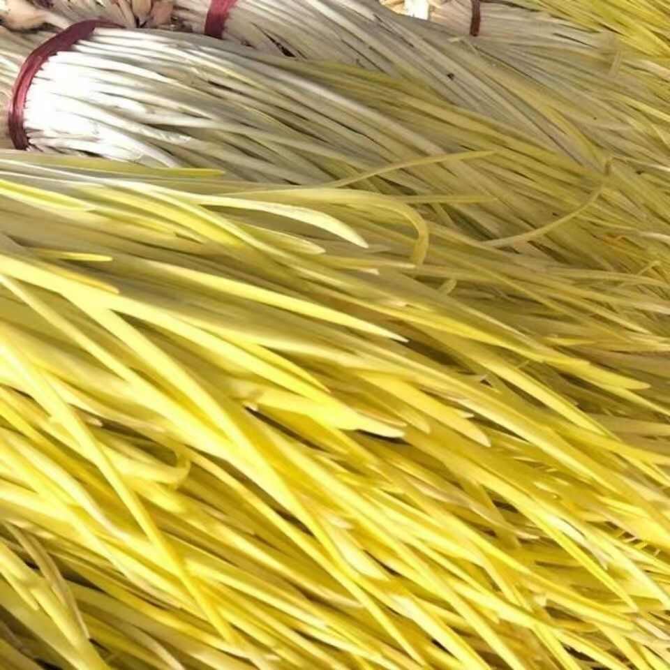 山东头茬蒜黄