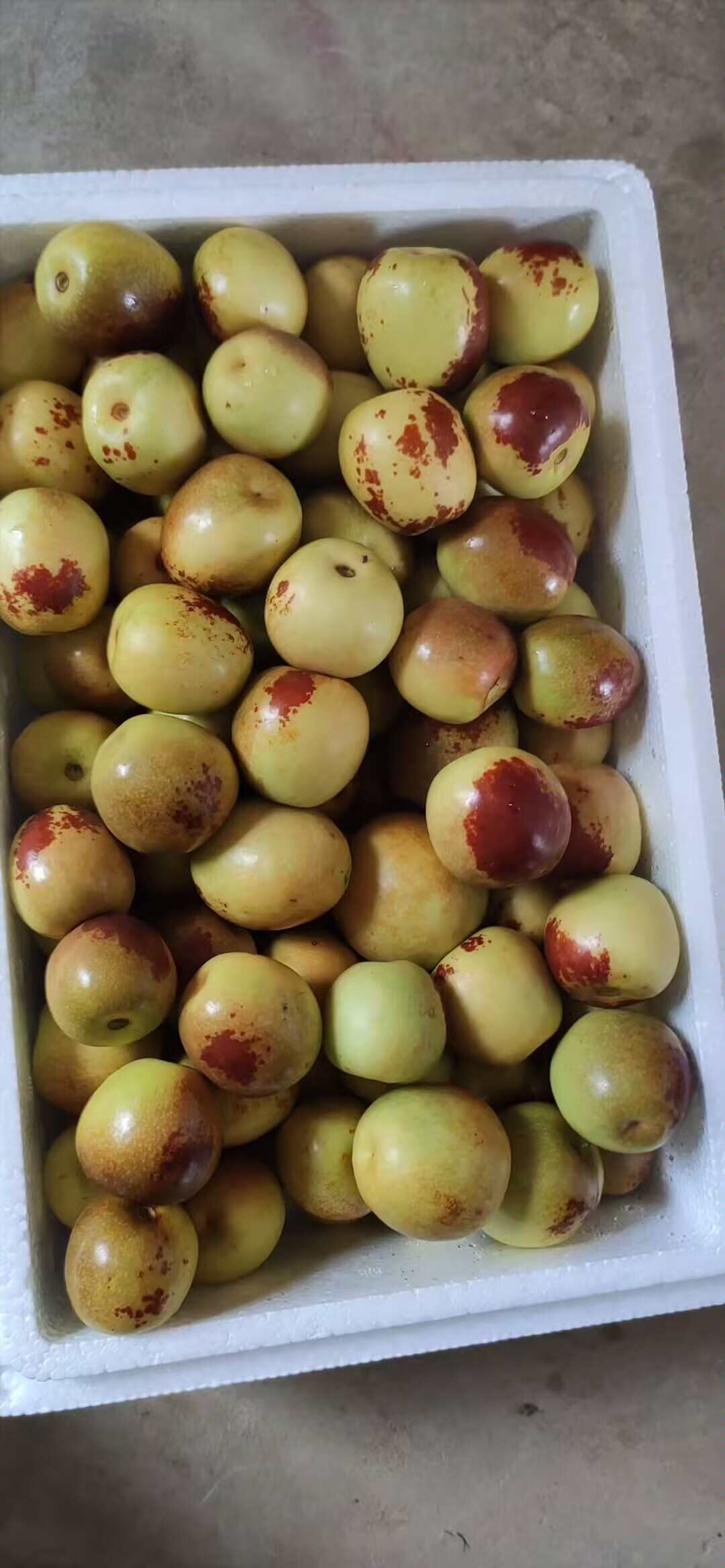 陕西大荔冬枣 新鲜核果类水果产地直发