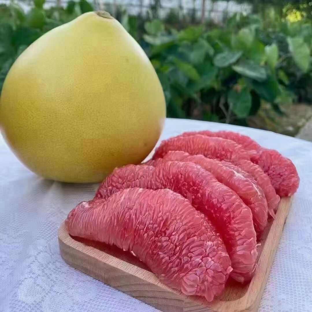 平和琯溪蜜柚红心柚