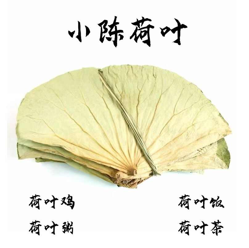 【精品】新鲜整张荷叶大张微山湖干荷叶包饭糯米鸡荷叶茶商用批发