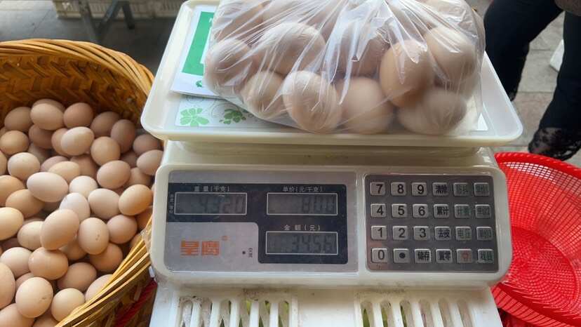 莆田土地蛋零卖送货高品质蛋品