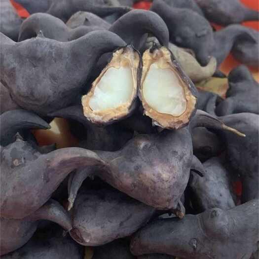 仙桃市粉糯香甜菱角 新鲜水生蔬菜产地直发