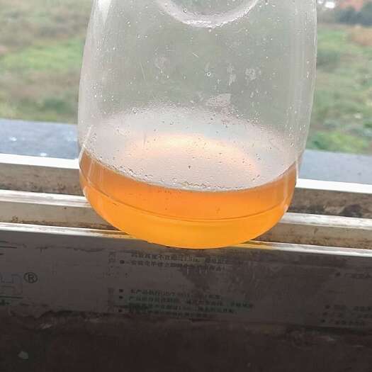 土蜂蜜