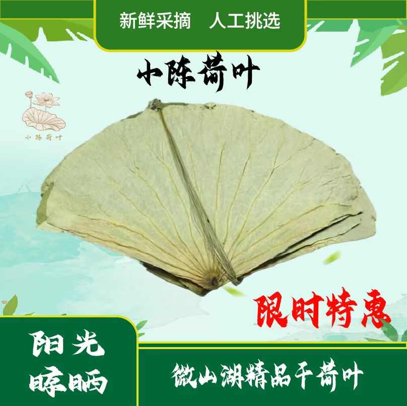 【精品】新鲜整张荷叶大张微山湖干荷叶包饭糯米鸡荷叶茶商用批发
