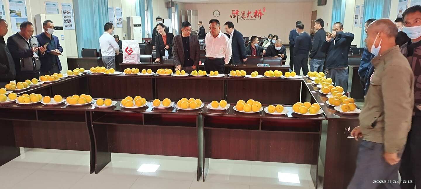 江西赣南信丰脐橙，鲜果采摘发货。