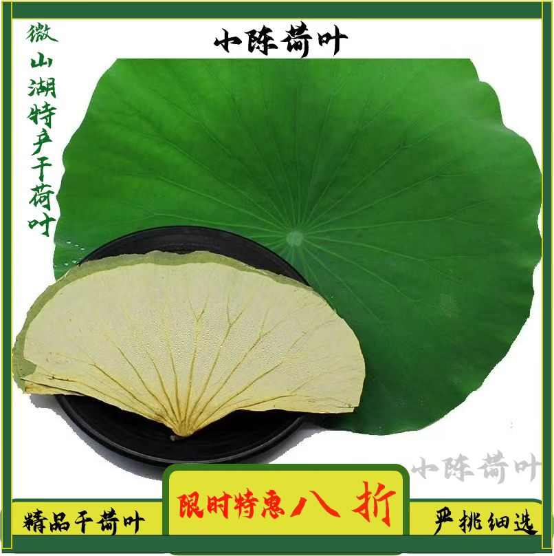 【精品】新鲜整张荷叶大张微山湖干荷叶包饭糯米鸡荷叶茶商用批发