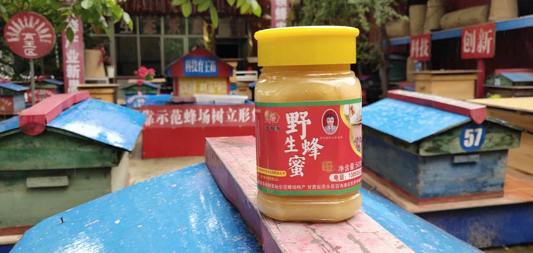 天水百寿康正宗纯正天然深山野生蜂蜜送礼佳品
