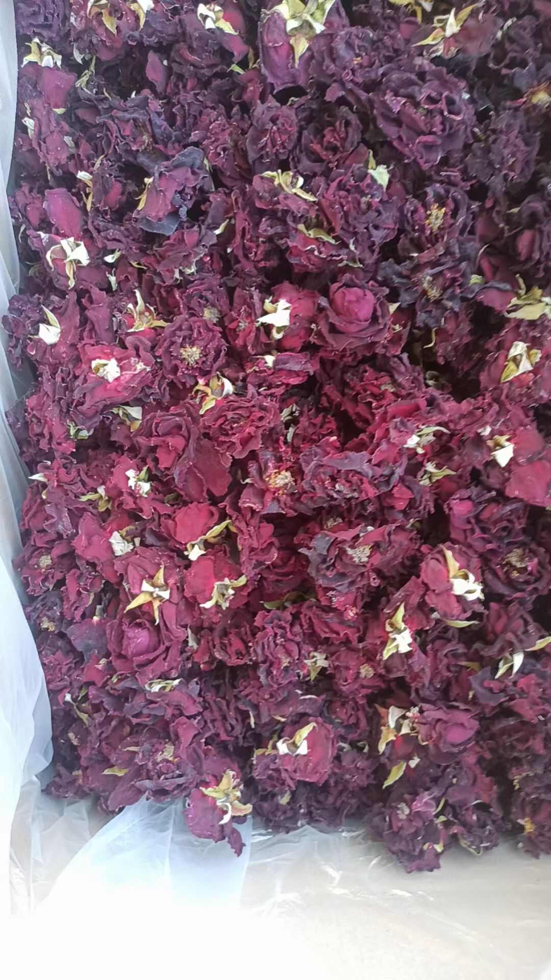 云南食用墨红玫瑰，玫瑰花朵，玫瑰花瓣，自家基地，基地直发