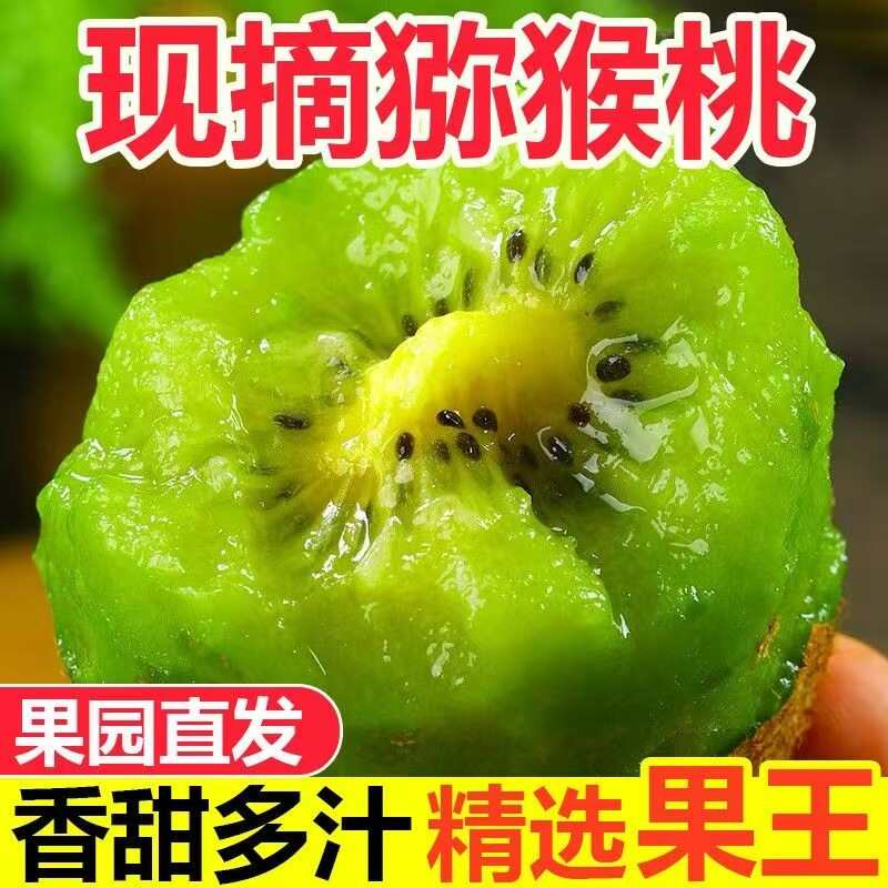 【精选】正宗徐香绿心猕猴桃新鲜应季甜水果砀山整箱批发