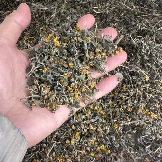 昆明野菊花中药材，云南产的新花，大量上货
