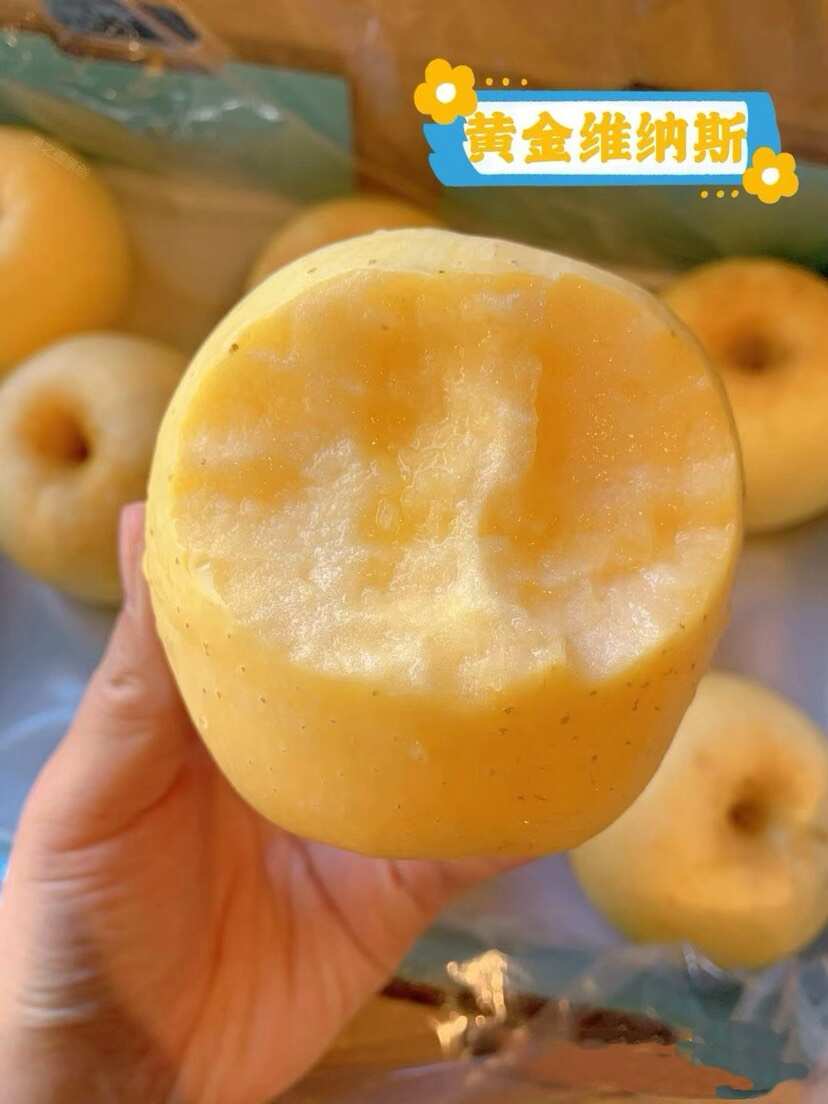 黄金维纳斯  脆甜多汁