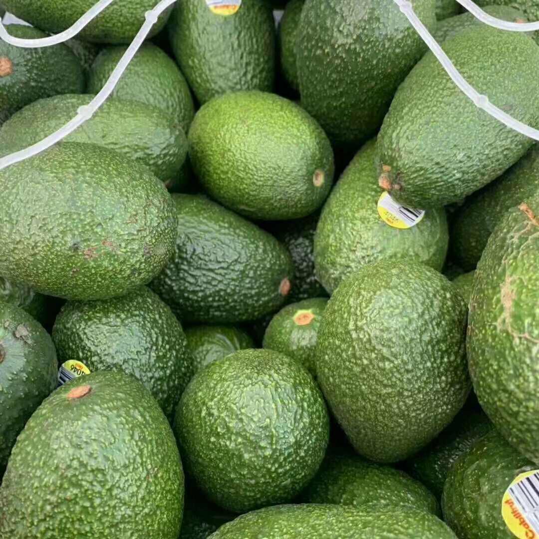 【现货速发】墨西哥牛油果新鲜当季大果水果宝宝辅食鳄梨整箱包邮