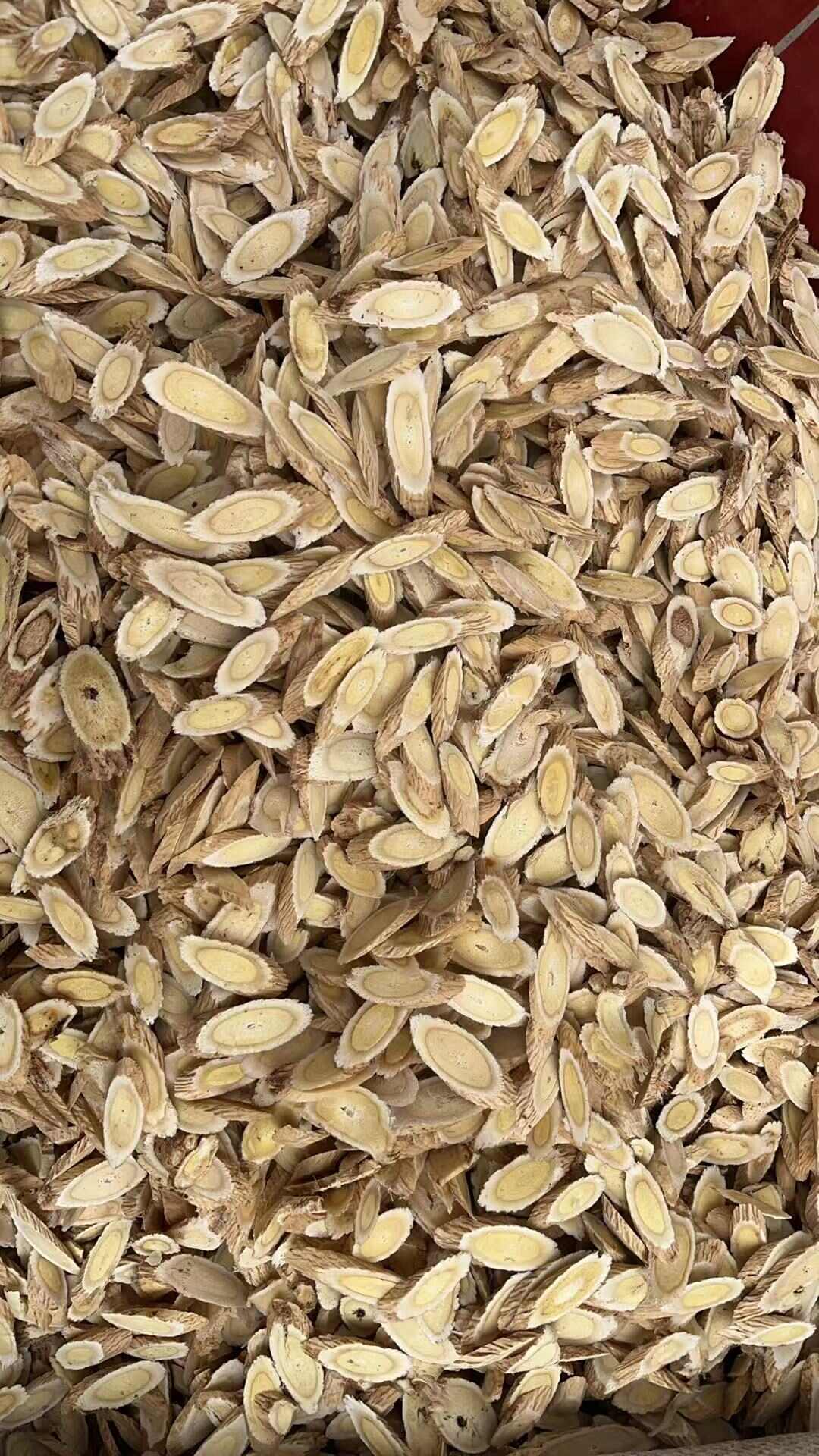 黄芪圆片指甲片