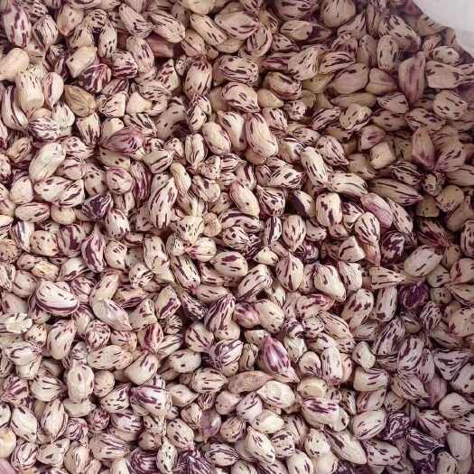 成都七彩花生米