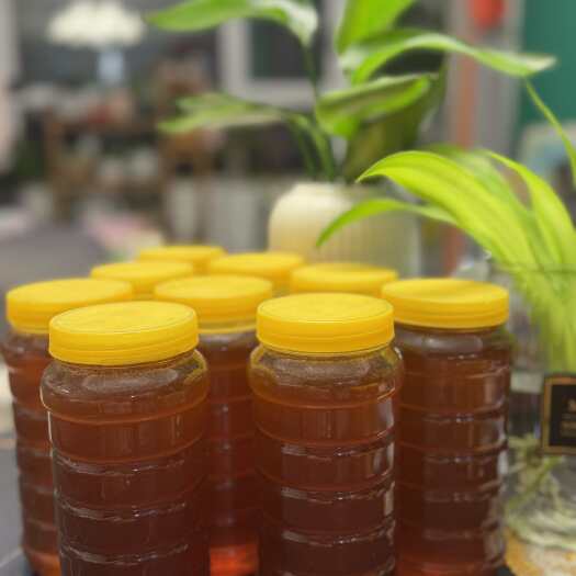 临洮县甘肃董小姐家高品质土蜂蜜～每一瓶，都是爷爷沉甸甸的用心！
