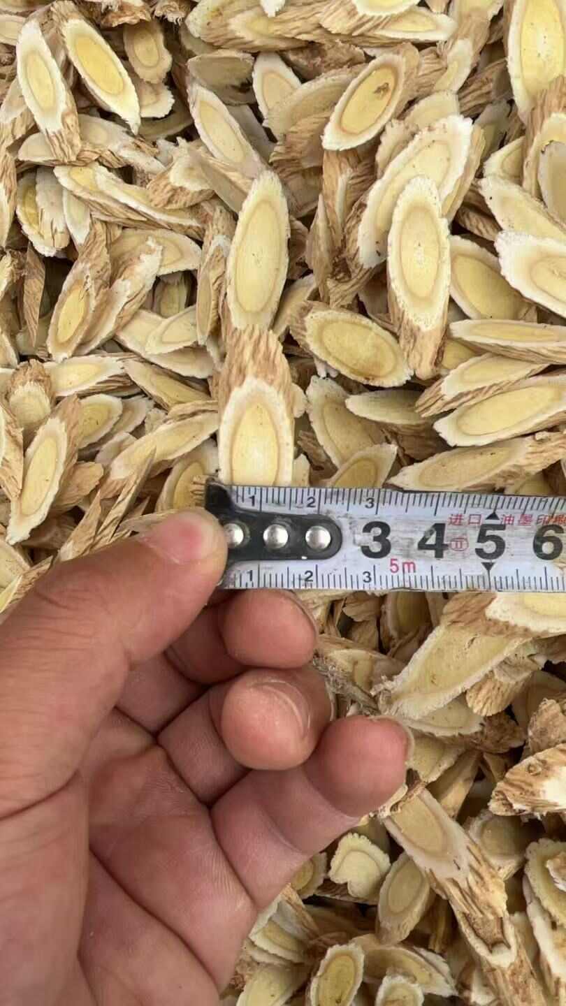 黄芪圆片指甲片