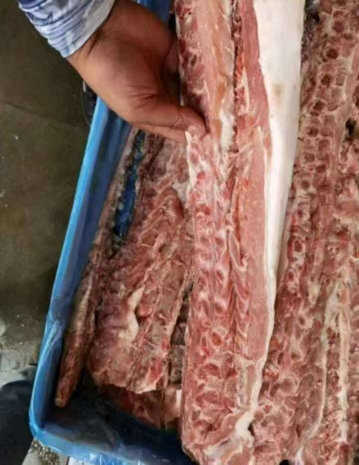 4厂背骨