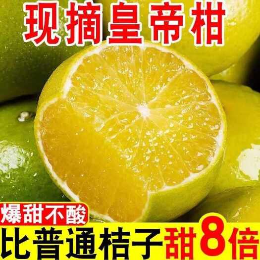 广西皇帝柑一件代发