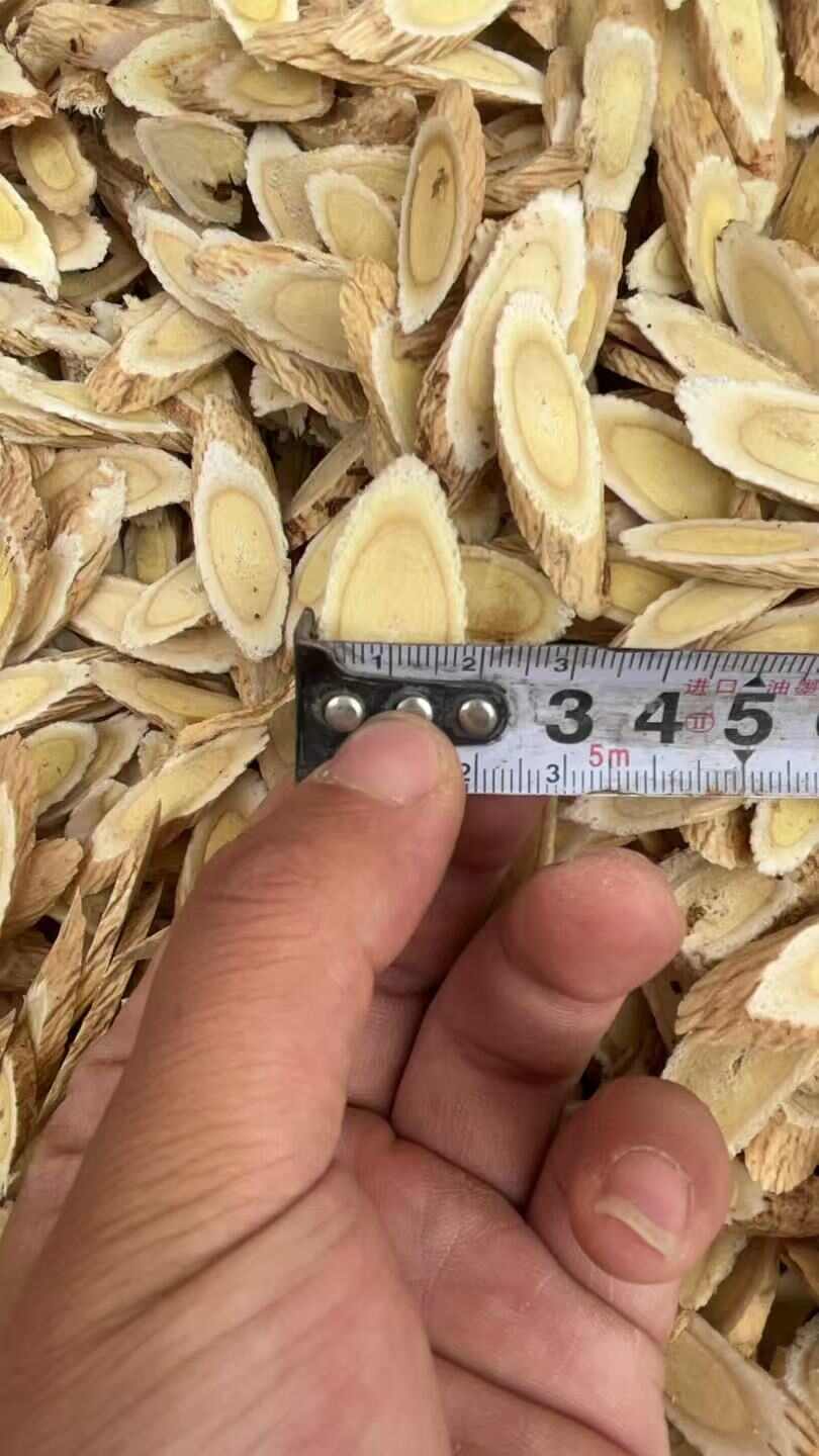 黄芪圆片指甲片