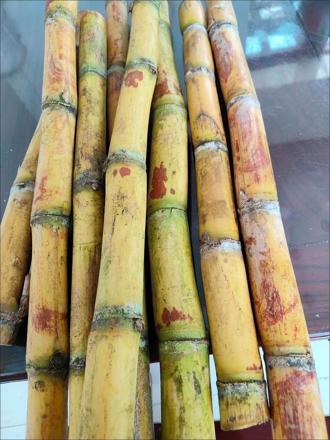 云南青皮黄皮甘蔗，切断甘蔗，欢迎老板选