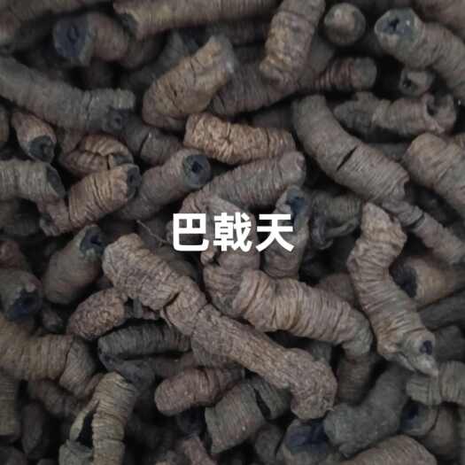 郁南县特产自家精制巴戟天