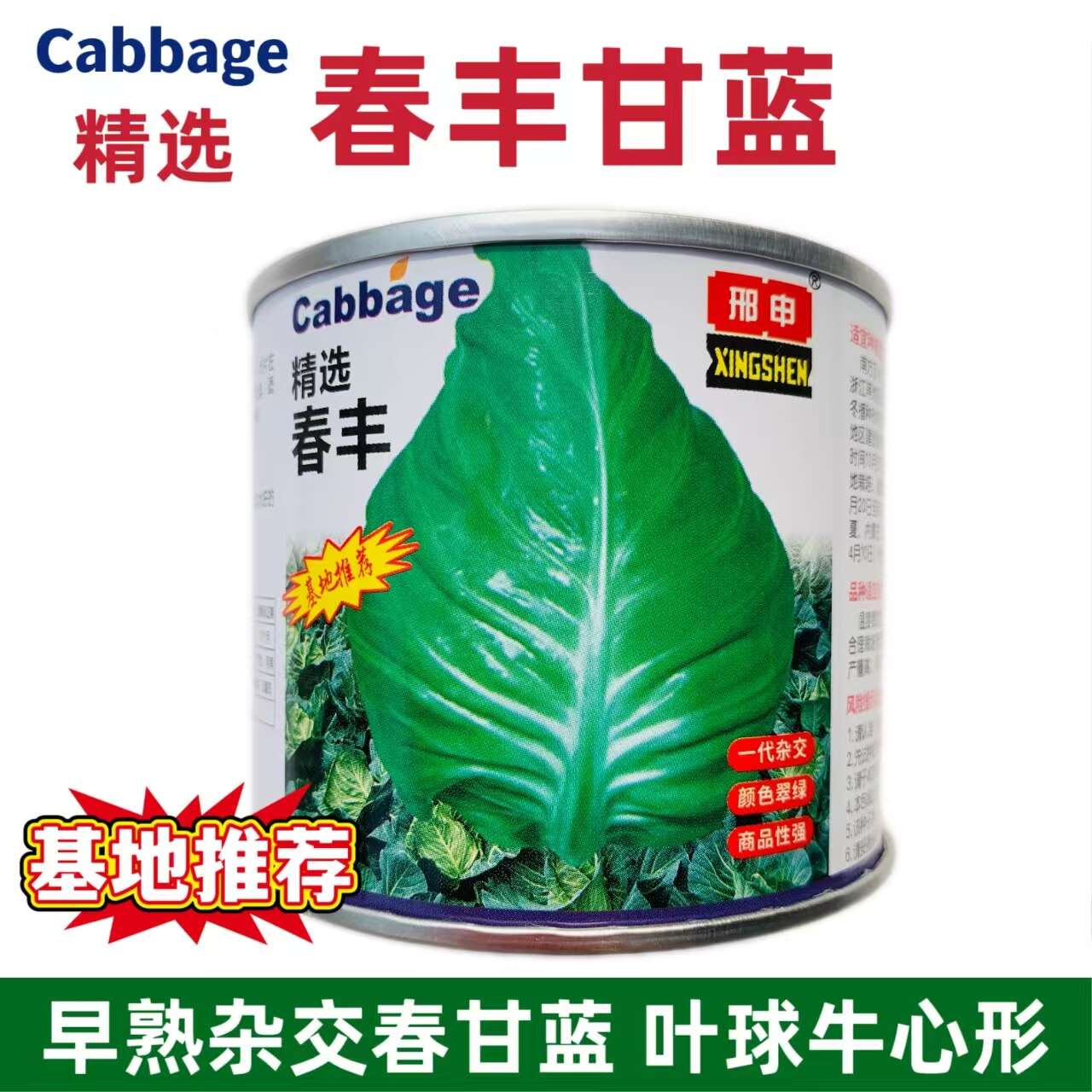 邢申春丰甘蓝种子早熟牛心菜种籽卷心菜包菜蔬菜种籽耐寒春秋甘兰