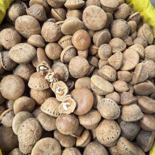 玉林风流果 25年新货