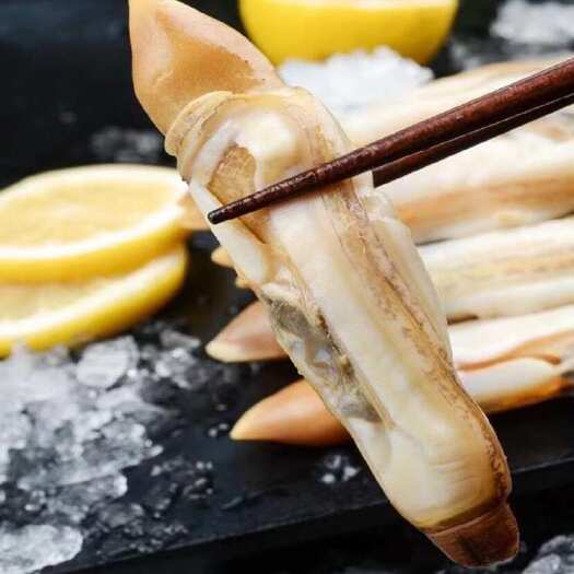 【去壳净肉】蛏王肉大竹节蛏蛏子肉贝类海鲜水产鲜冻圣子肉海蛏子