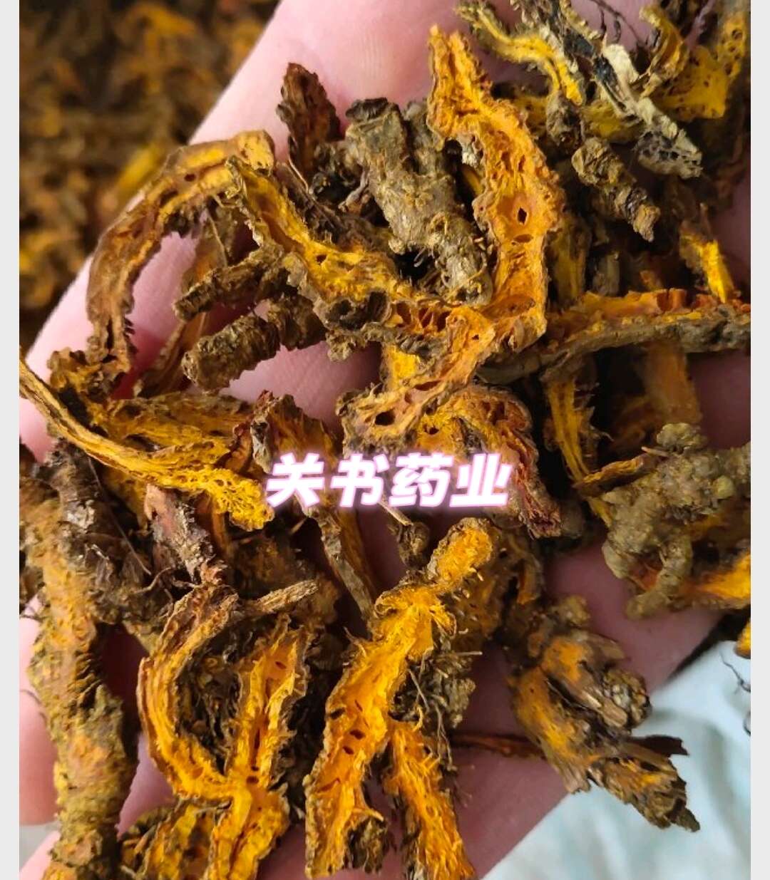 黄连  选 新货 《关书药业》品质如图所示 一手货源规格齐全