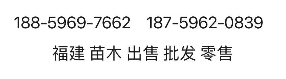 爬山虎 爬墙虎 出售 福建 供应 小 袋 杯 盆 盘 苗