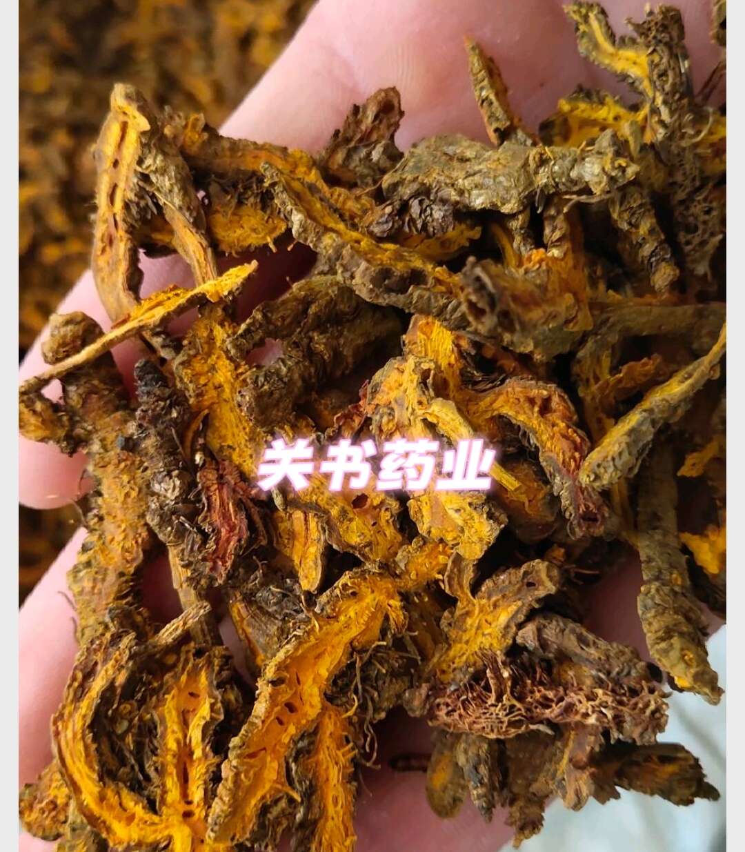 黄连  选 新货 《关书药业》品质如图所示 一手货源规格齐全