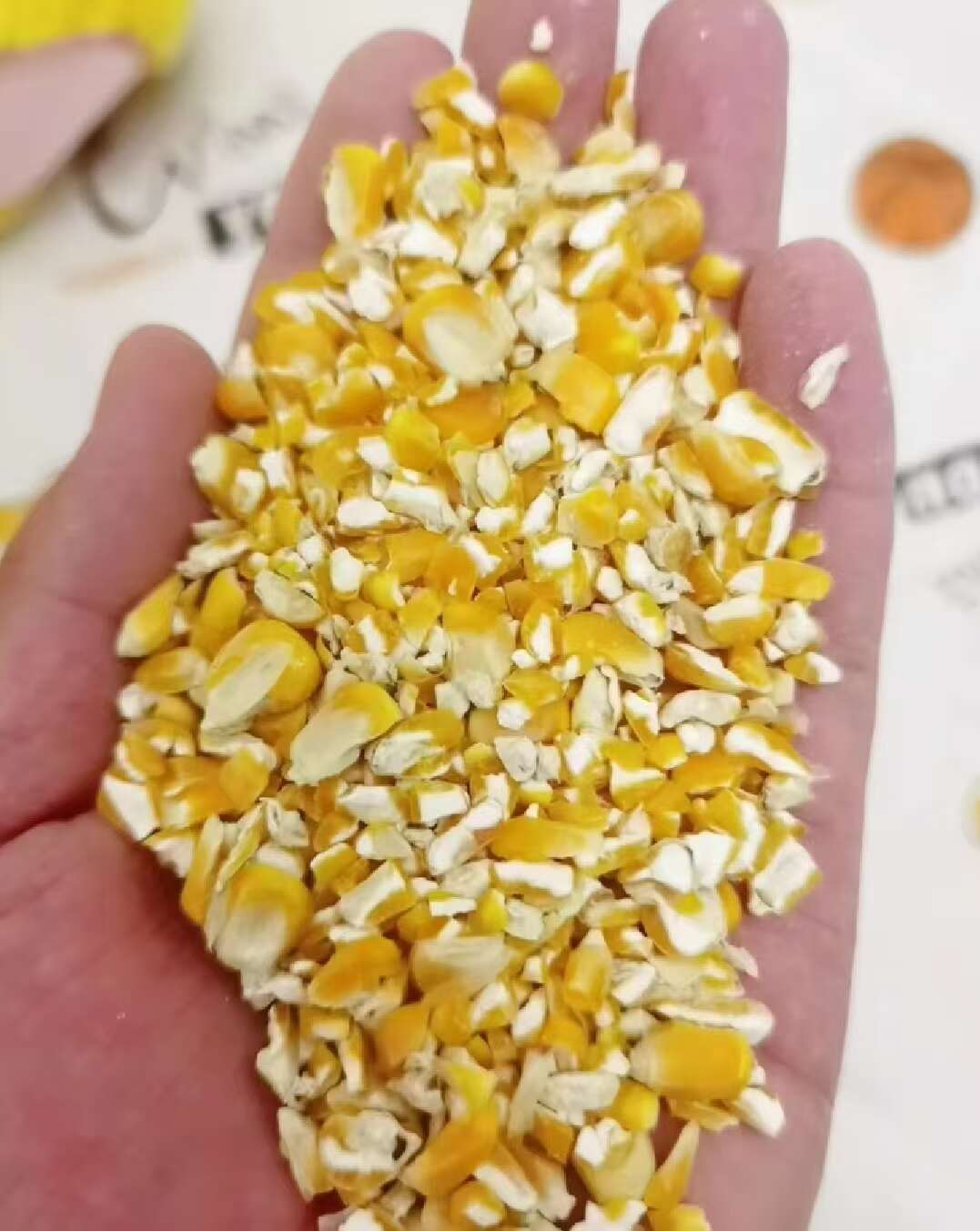 河南平顶山碎玉米 净粮容重720g/L 水分低于14%