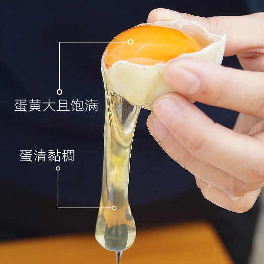 土鸭蛋  一件代发150克大蛋价  初生蛋便宜 电话沟通为主