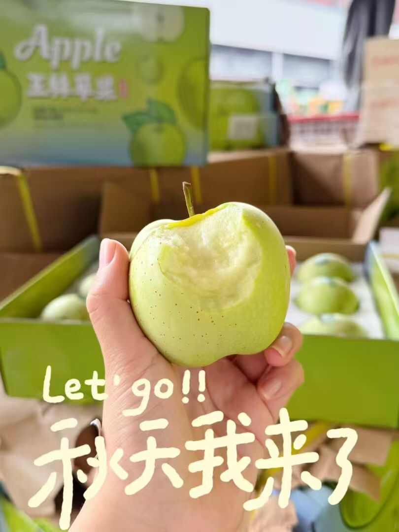 新疆王林苹果，新货，一件代发包邮