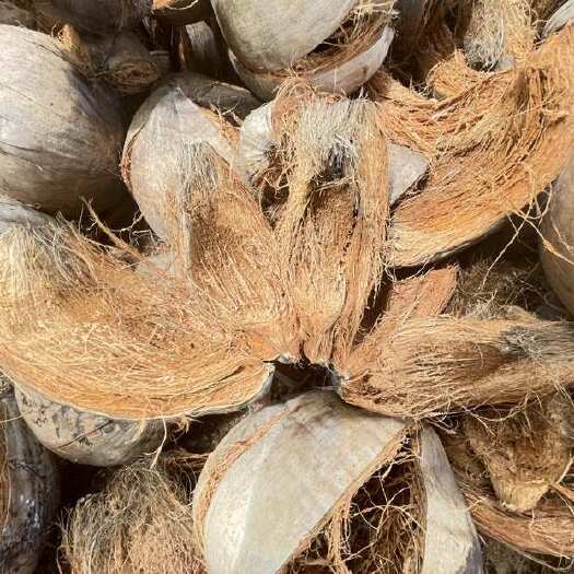 海南新鲜老椰子皮老椰子皮棕皮现剥椰皮养殖竹虫园艺用品、规格参