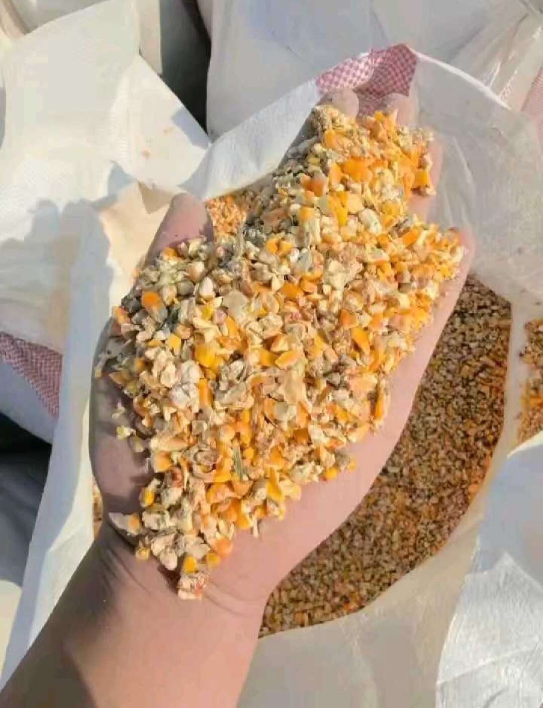 河南平顶山碎玉米 净粮容重720g/L 水分低于14%