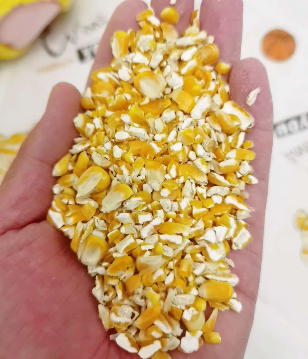 河南平顶山碎玉米 净粮容重720g/L 水分低于14%