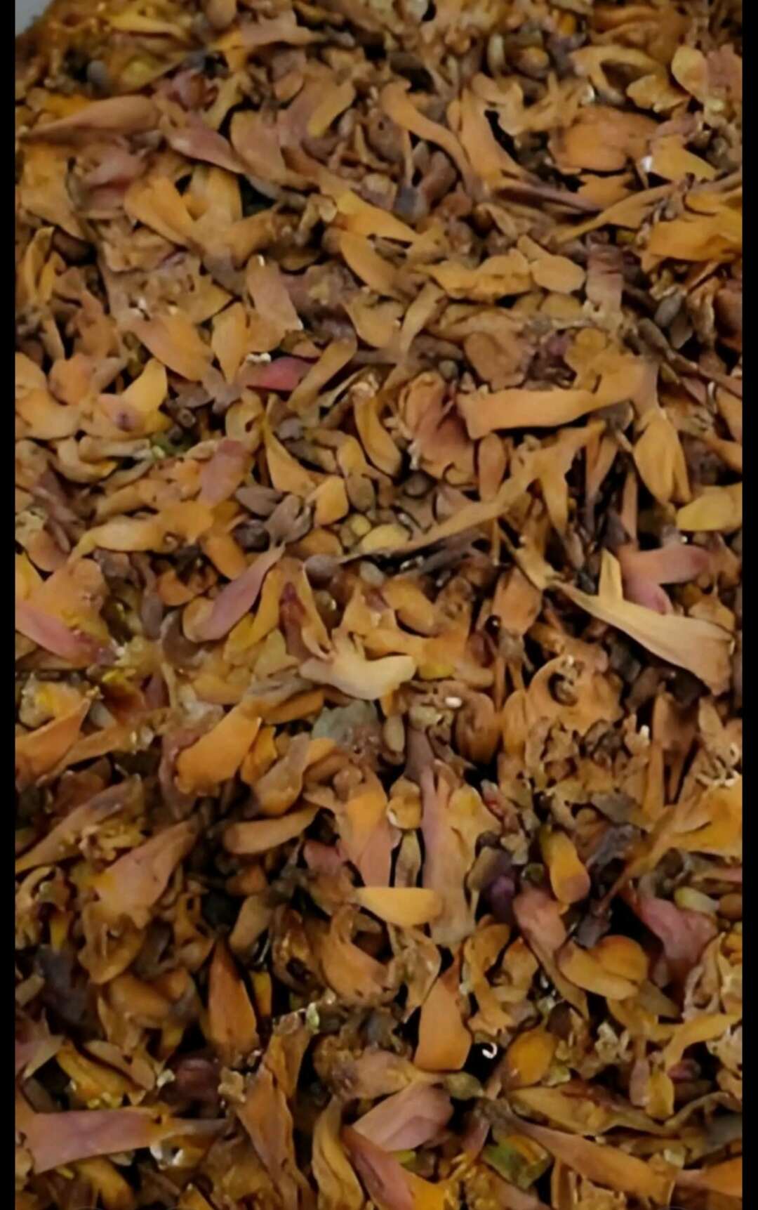 凌霄花干自产自销30元/斤欢迎选购