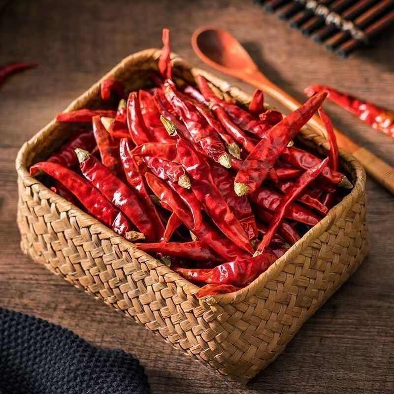 印度椒印度S17魔鬼辣魔鬼椒