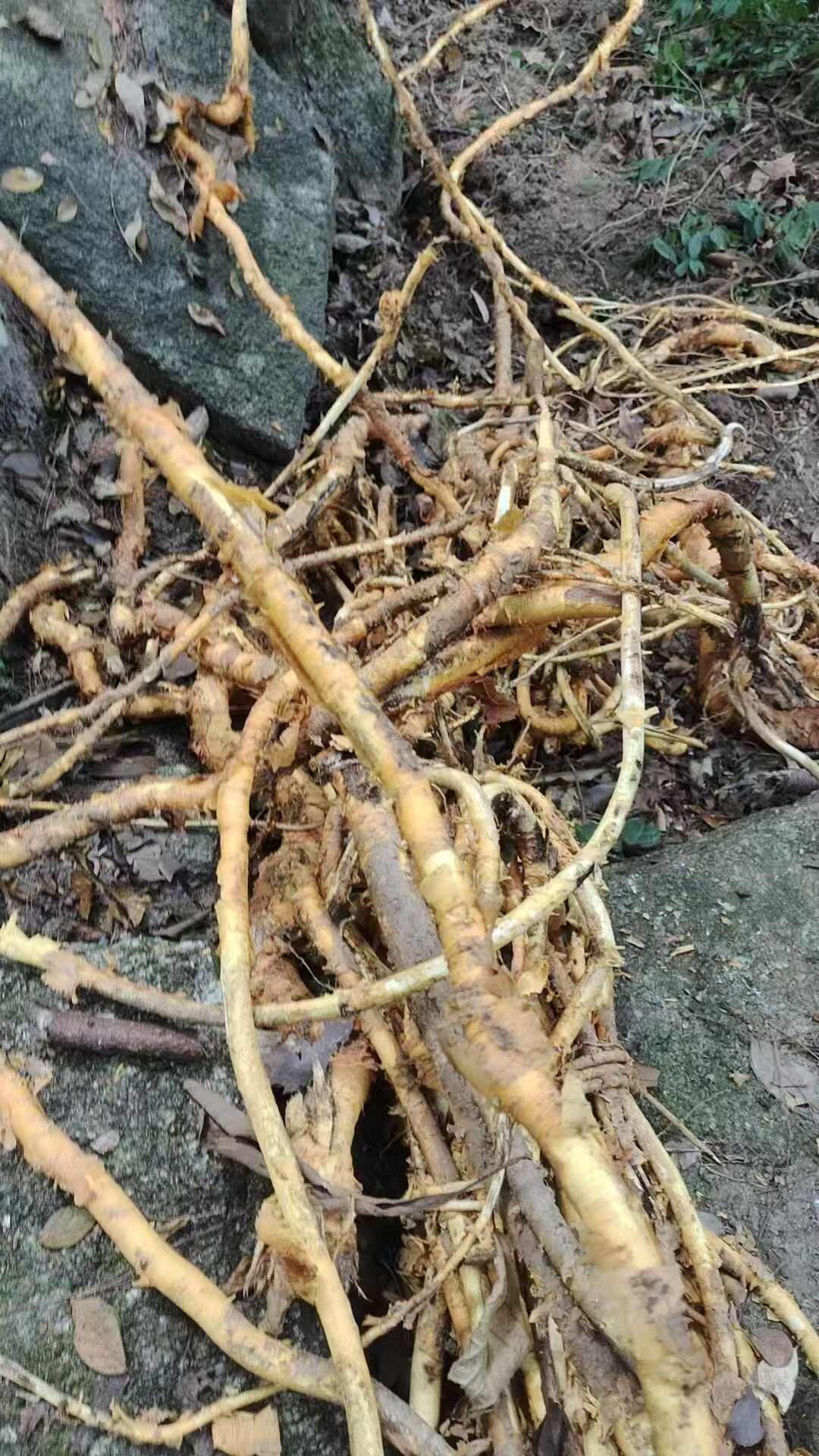 福建，穿破石，